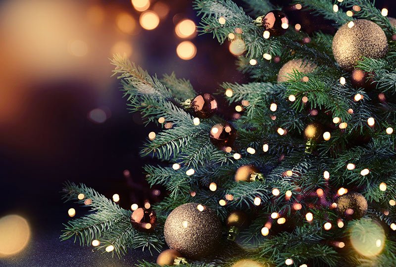 L’albero di Natale, protagonista della festa!
