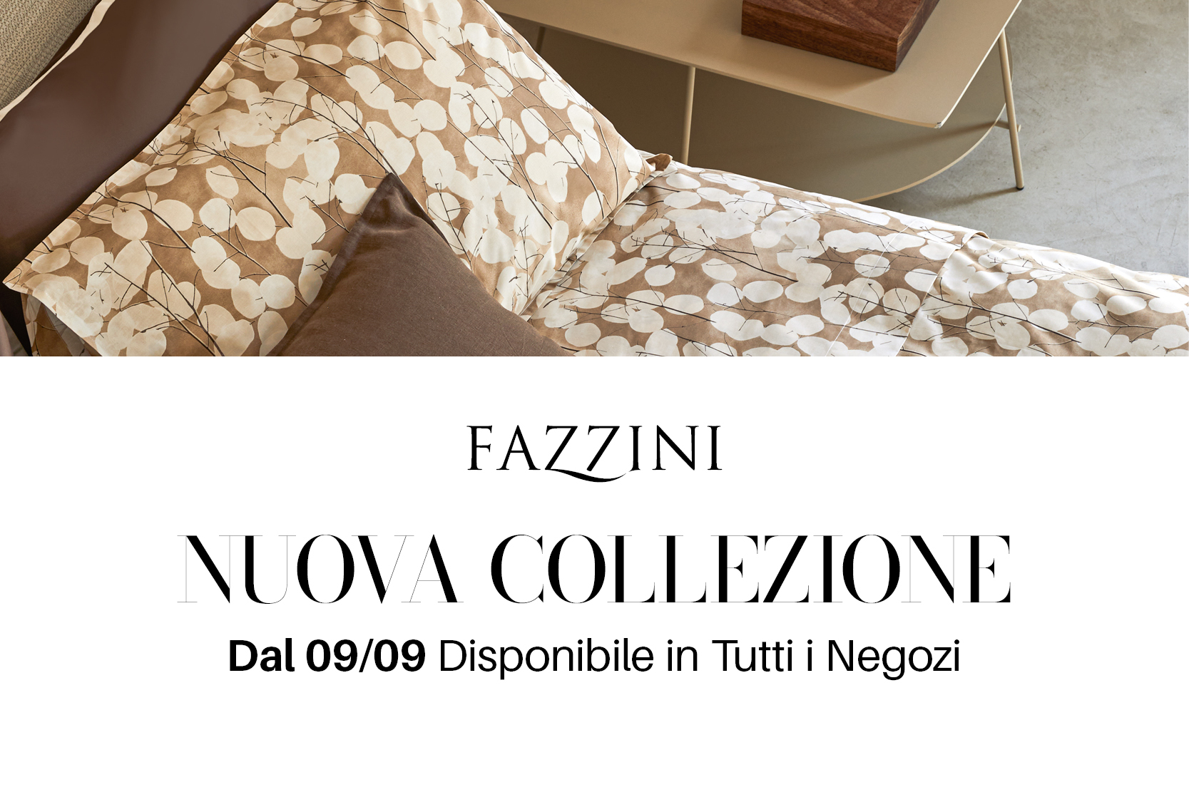 Nuova collezione autunno/inverno Fazzini!